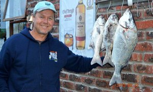 Pearly versus Goodwood